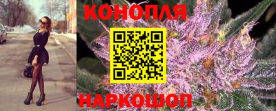 стаф Рязань